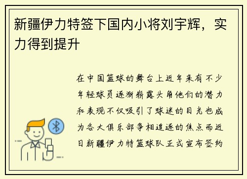 新疆伊力特签下国内小将刘宇辉，实力得到提升