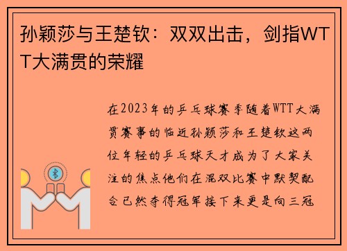 孙颖莎与王楚钦：双双出击，剑指WTT大满贯的荣耀